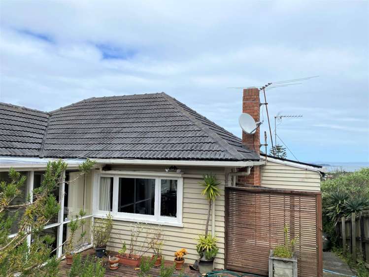 81 Carlton Street Hillsborough_1