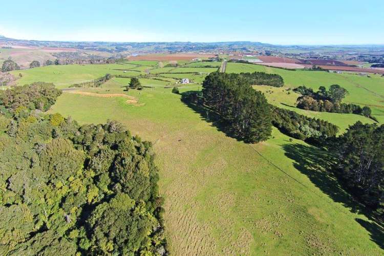 283 Trig Road Tuakau_11