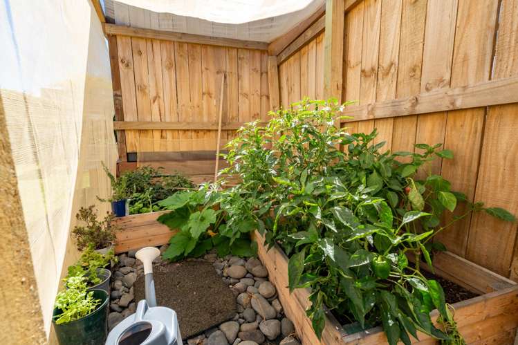 10A Tranmere Road Fairfield_10