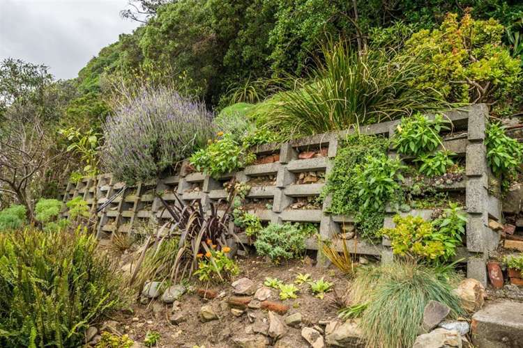 125 Marine Parade Seatoun_16