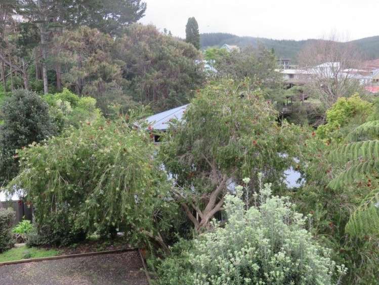 109 Onemana Drive Onemana_16