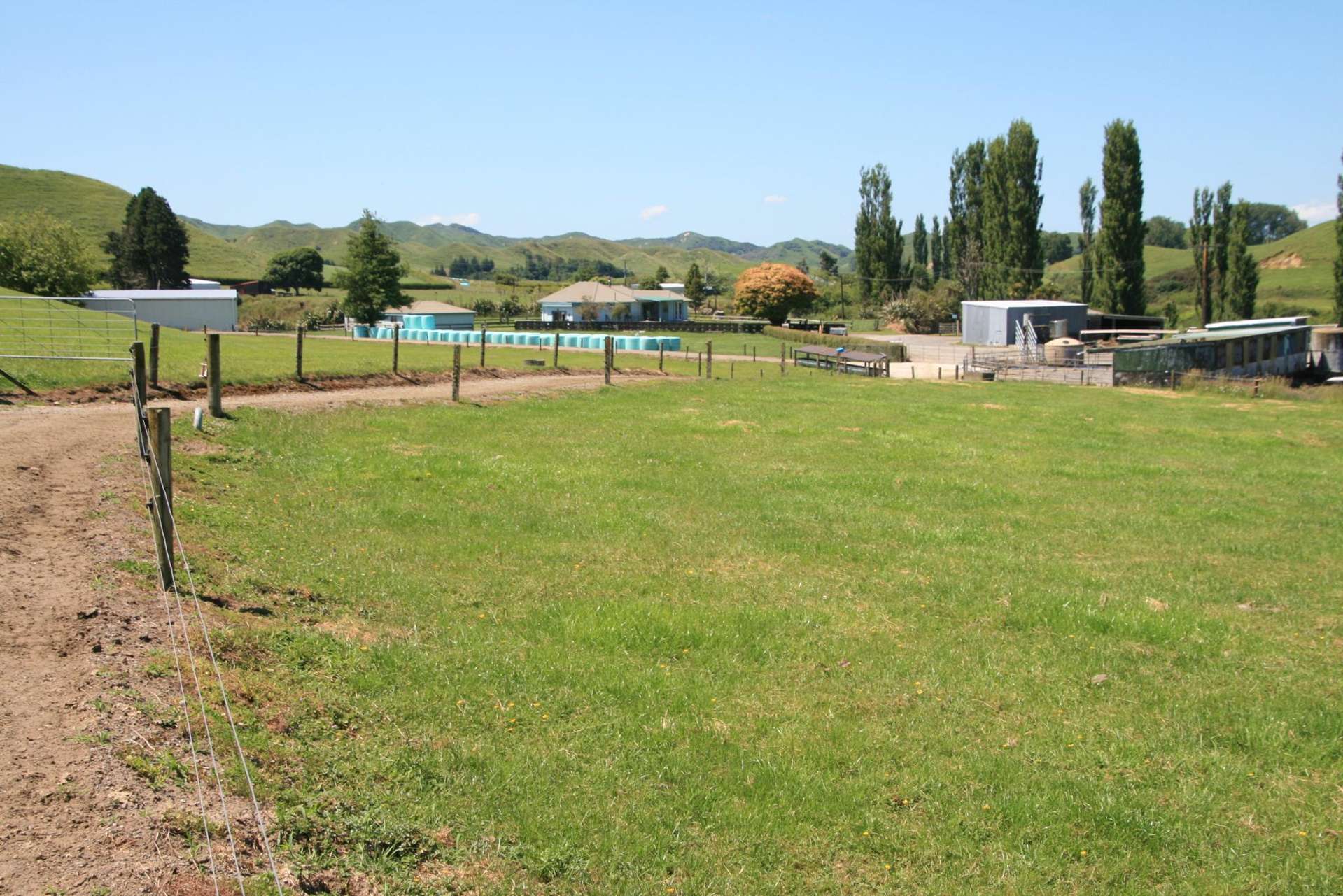 145 Bayly Road Huinga_0