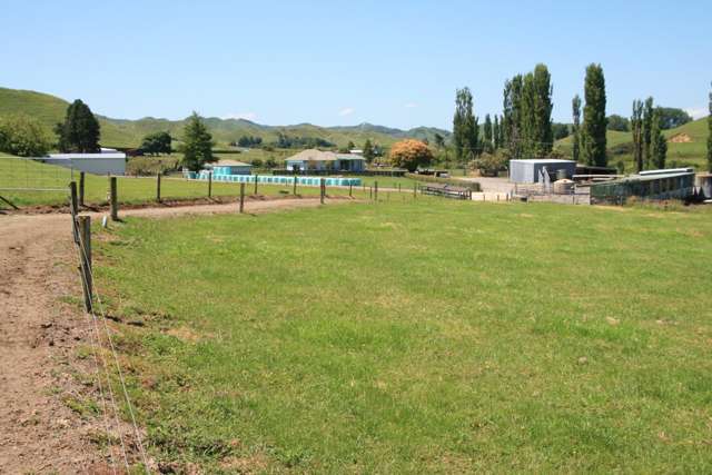 STARTOUT DAIRYING OPPORTUNITY