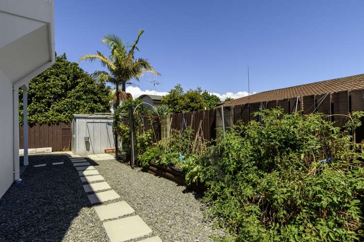 38 Eaton Crescent Matua_14
