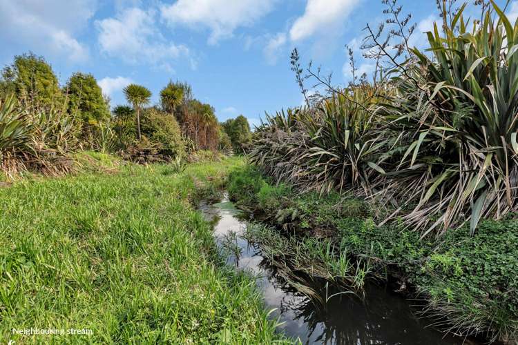 391 Pataua North Road Whareora_11