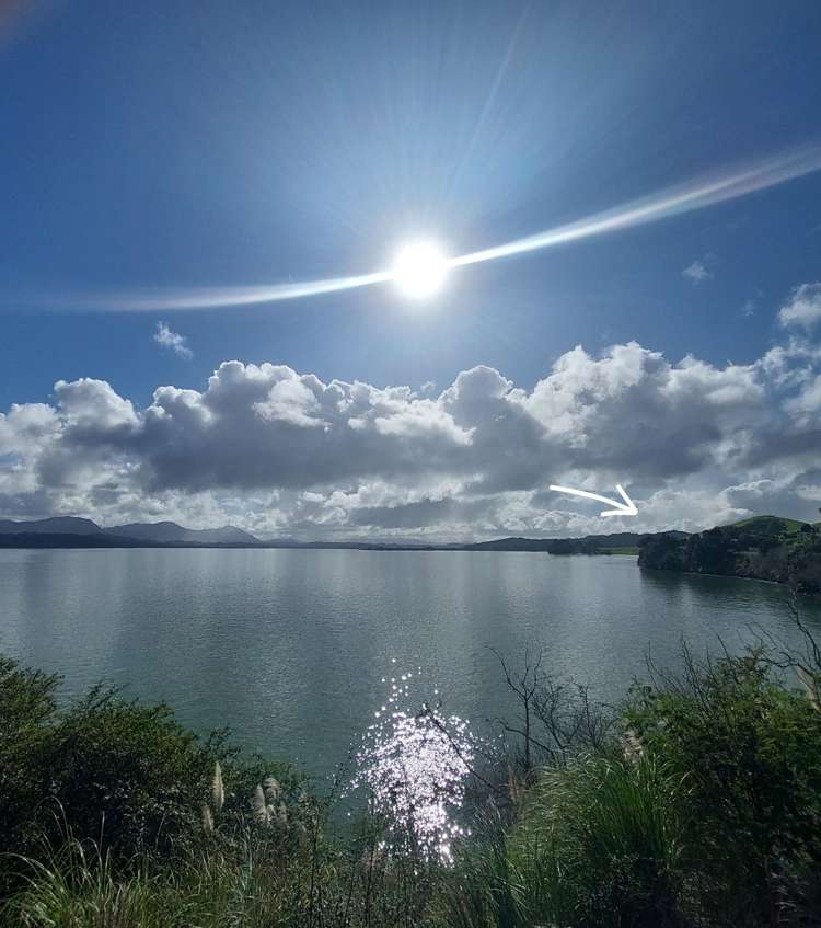 98 State Highway 12 Opononi_12