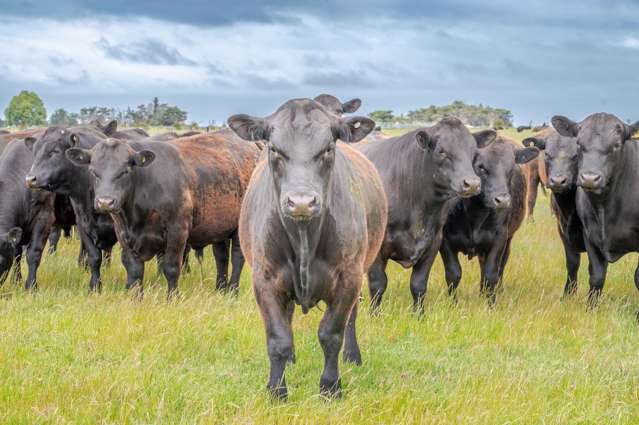 247 Seabridge Road Motukarara_1