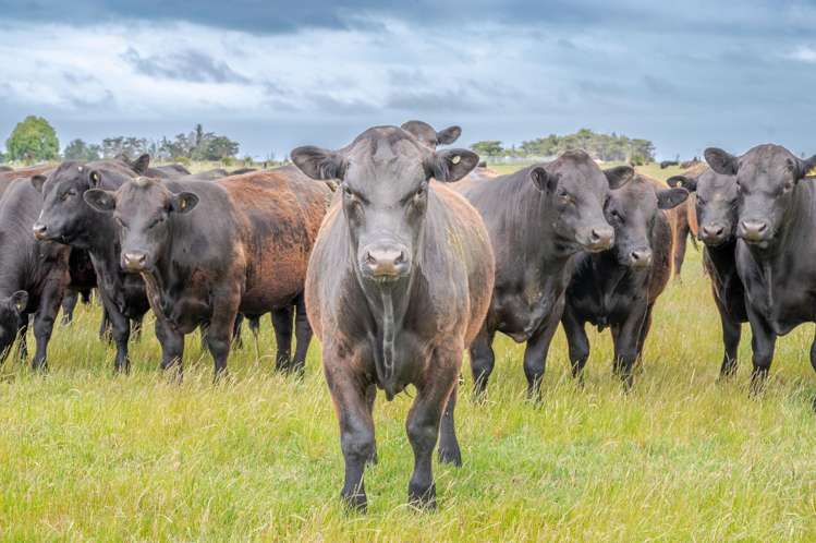 247 Seabridge Road Motukarara_1