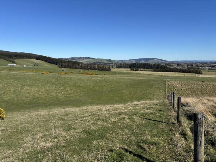 Waihola Highway Waihola_12