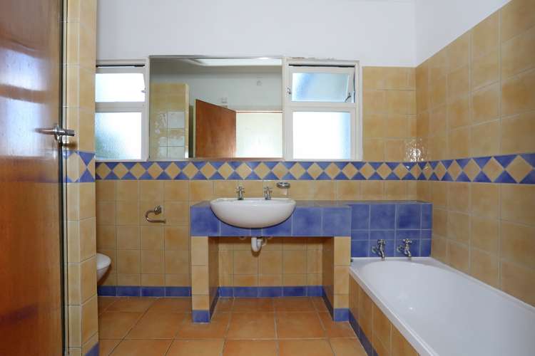 11b Johnson Street Bulls_13