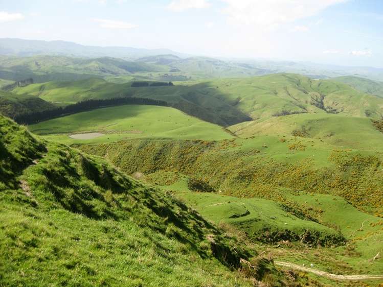 12271 Route 52 Pongaroa_23