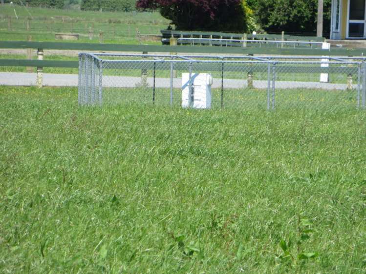 95 Bowler Road Te Aroha_5