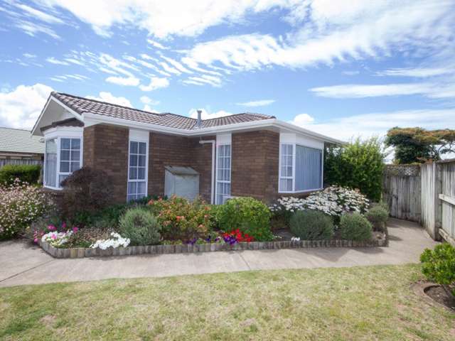 3 Saint Helens Place Tawhero_2