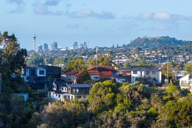 366A Hillsborough Road_2