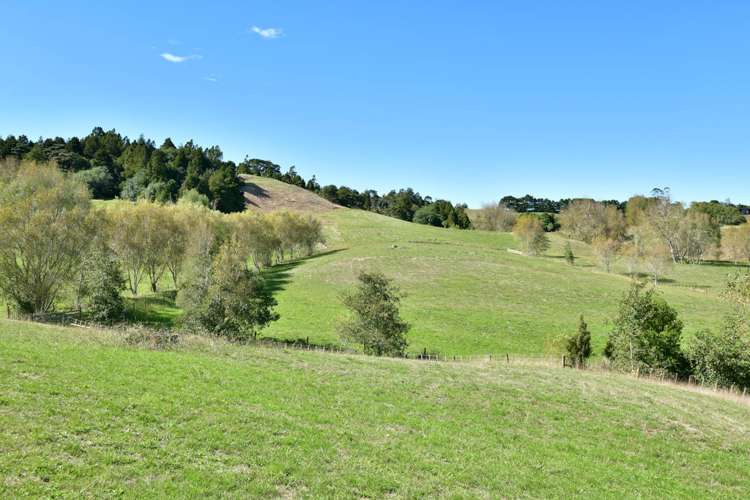 323 Kahikatea Flat Road Waitoki_22