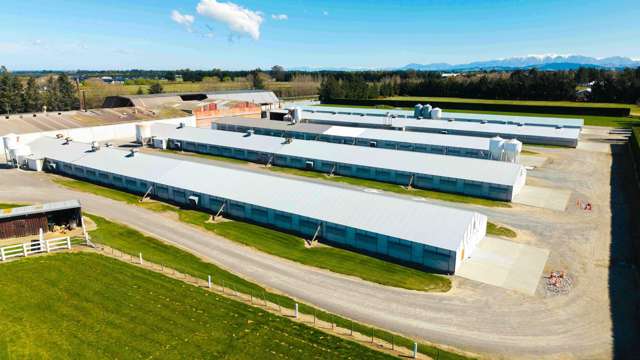 15 Horndon Street Darfield_1