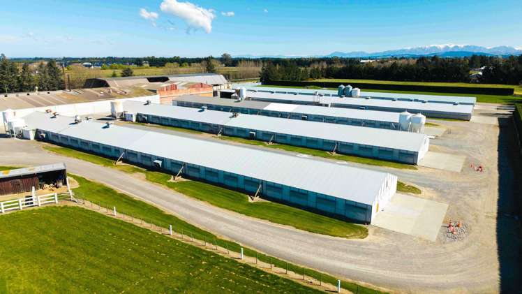 15 Horndon Street Darfield_1