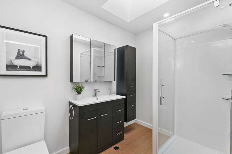 43 Little George Street Thorndon_10