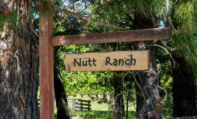 191 Tyntesfield Road Waihopai Valley_58