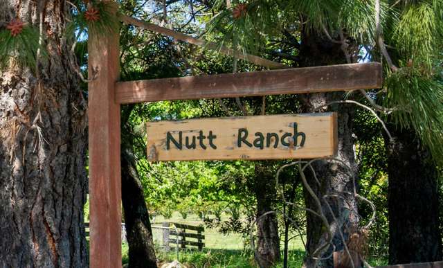 Country Charm Meets Endless Potential