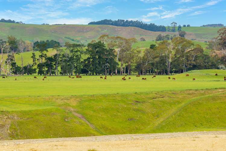 233 Salisbury Road Maraekakaho_8