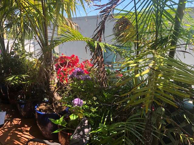 5c Boardman Lane Auckland Central_1