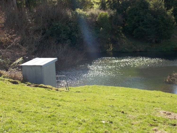 222 Lincoln Road Inglewood_5