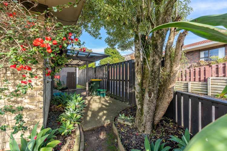 66 Hazelwood Avenue Dinsdale_24