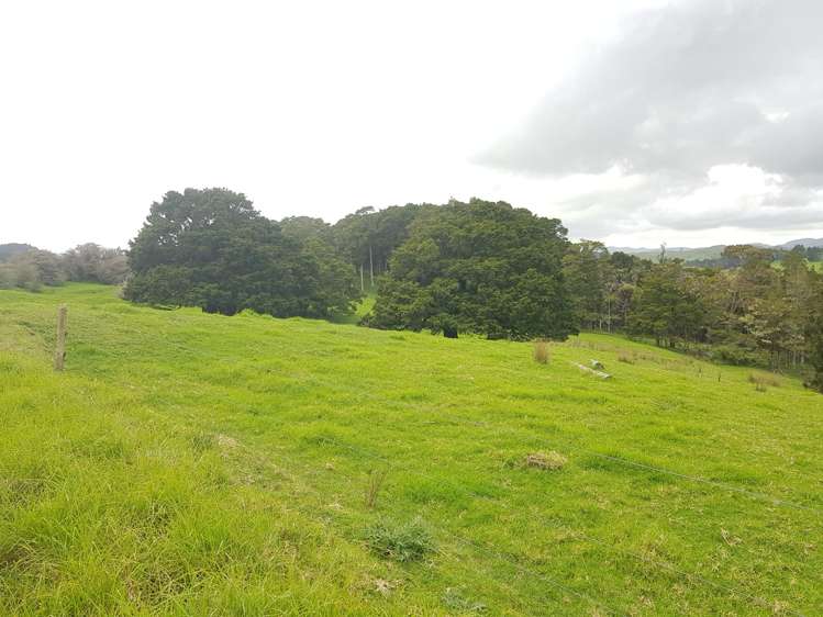 504 Wairere Road Paparoa_28