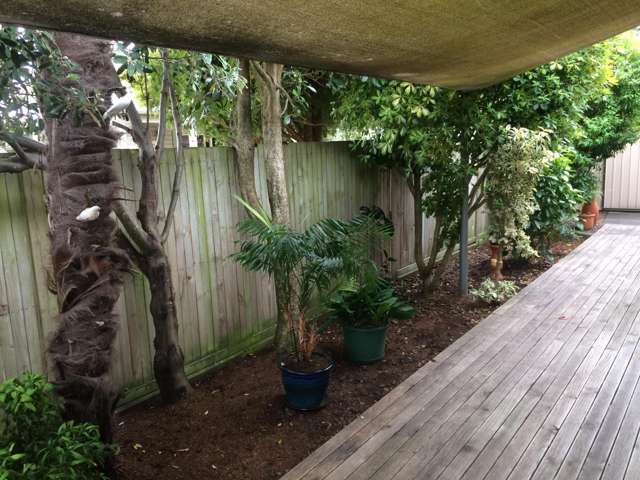 43 Fitchett Street Palmerston North Central_3