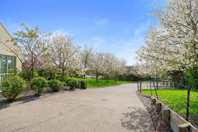 75 Whitford Park Road Whitford_34