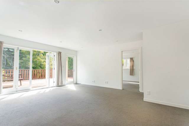 37 Elgin Street Grey Lynn_4