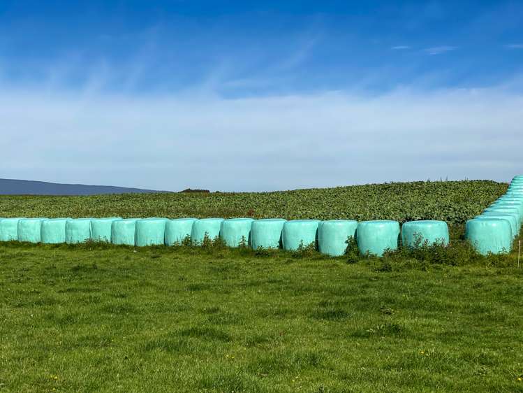 445 Aparima Road Otautau_11