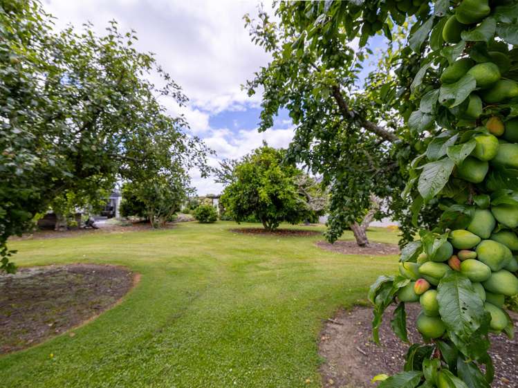 225 Hoeka Road Matangi_20