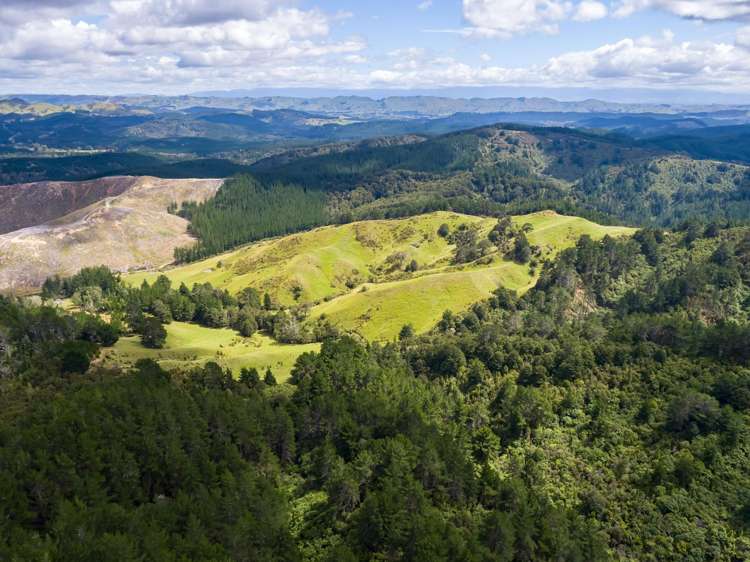 939 Kaiwhata Road Te Wharau_11