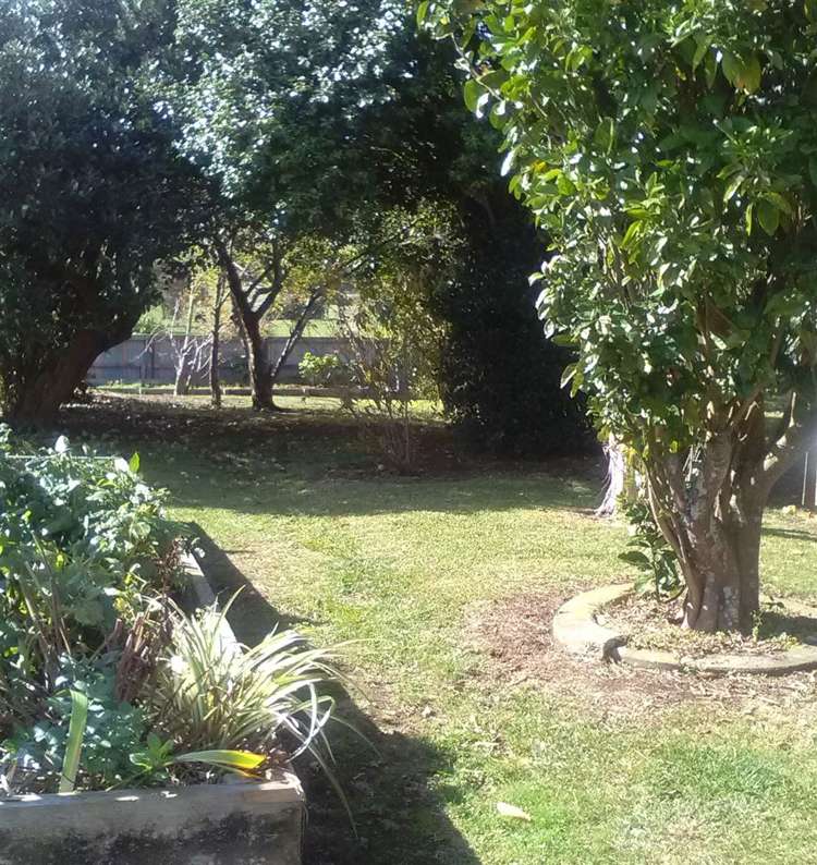 7279 State Highway 26 Paeroa_17