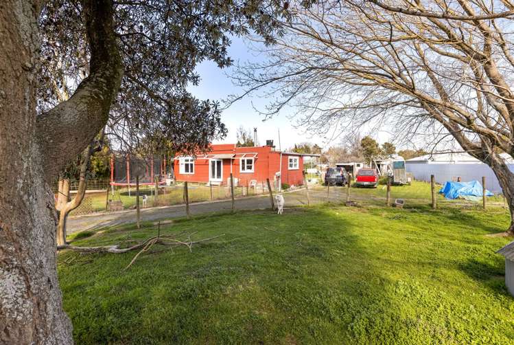 4 March Street Spring Creek_5