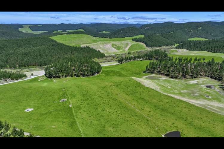 Korako Road Taupo_18