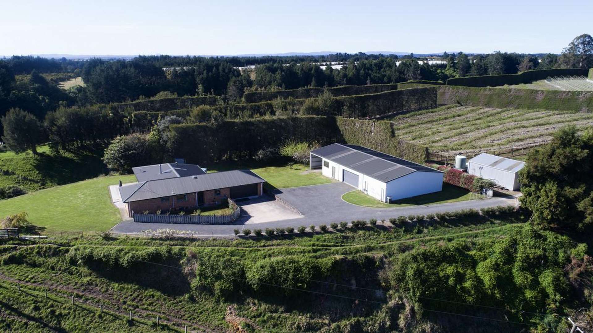 99 Homewood Drive Te Puke_0