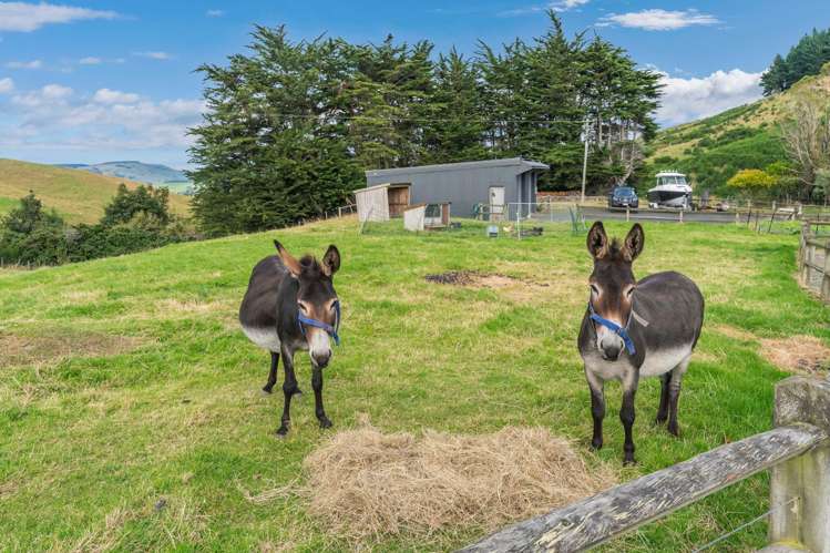 2390 Owaka State Highway Katea_18