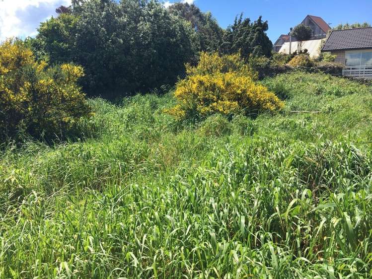 199 Highcliff Road Shiel Hill_6