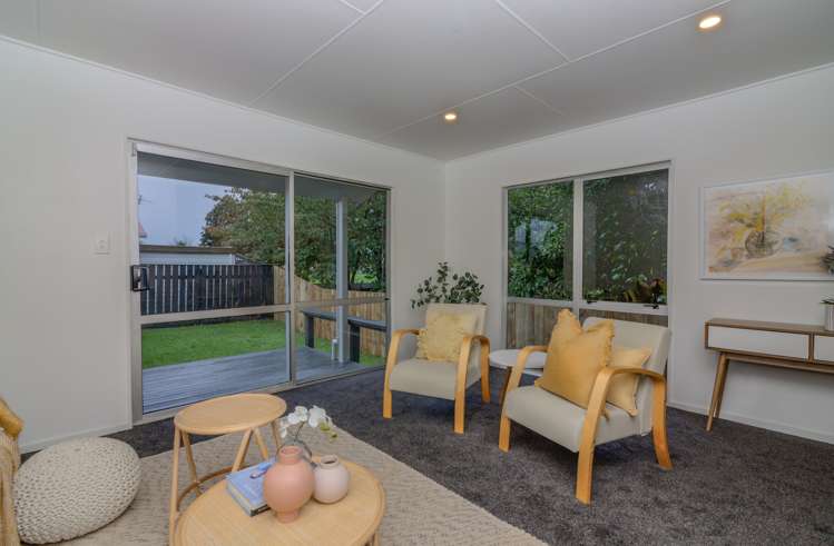 9a Guy Avenue Levin_8