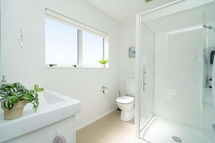 58 Amesbury Drive Churton Park_12