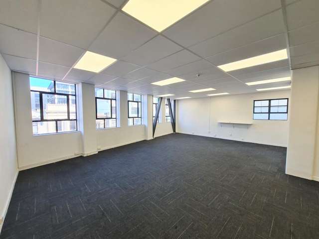 Level 2/36 Allen Street Te Aro_3