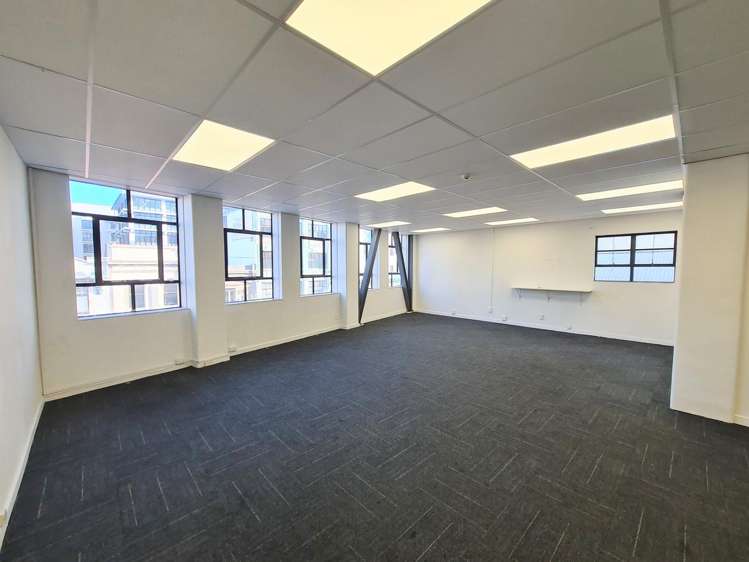 Level 2/36 Allen Street Te Aro_3