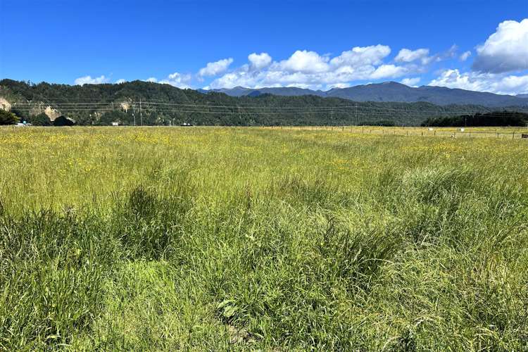 Gannon's Road Reefton_14