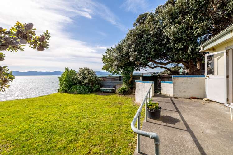 1598 Cape Palliser Road Cape Palliser_13