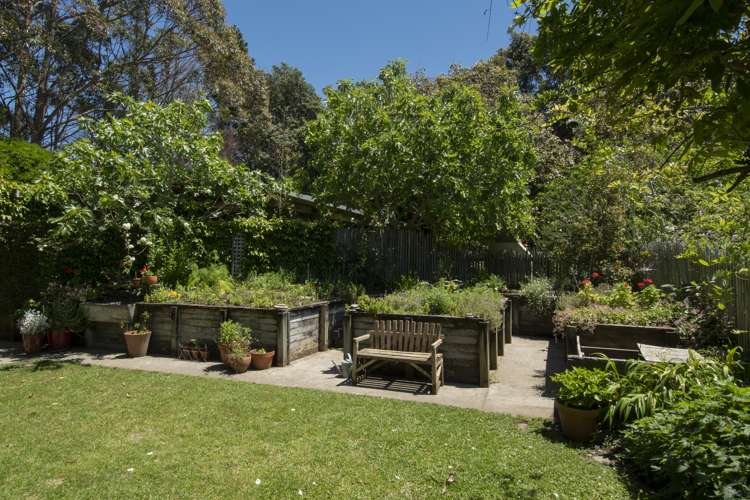 441 Matahui Road Aongatete_15