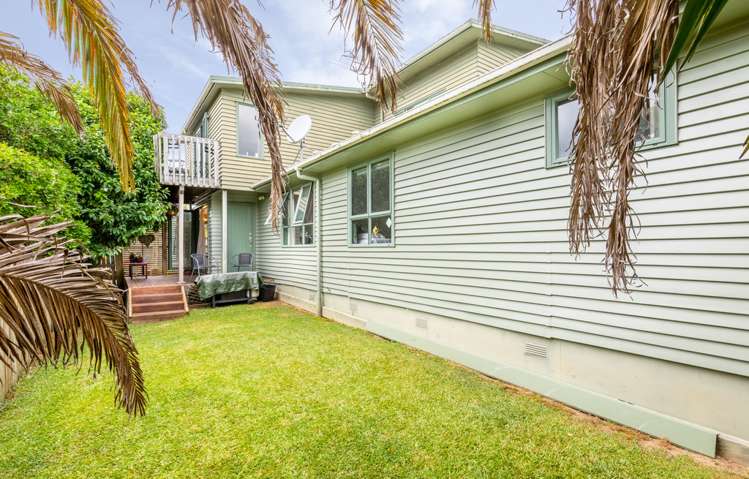 19a Arran Street Avondale_15