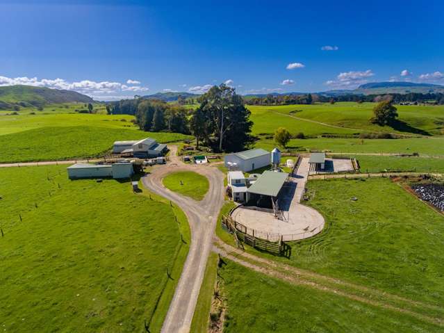 Rare offering - Ngakuru dairy farm